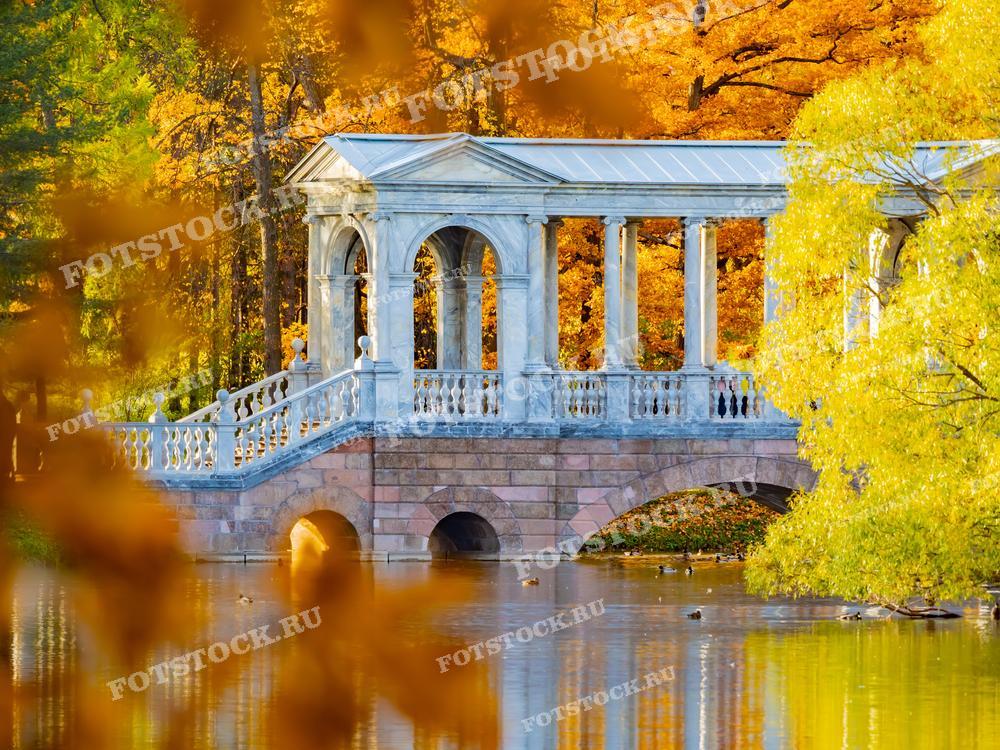 На фотографии изображен Мраморный мост в Екатерининском парке в Пушкине, Санкт-Петербург. Осенние деревья вокруг создают красочное обрамление моста. Фотография подходит для использования в туристических материалах, статьях о достопримечательностях и сезонных промо-материалах.